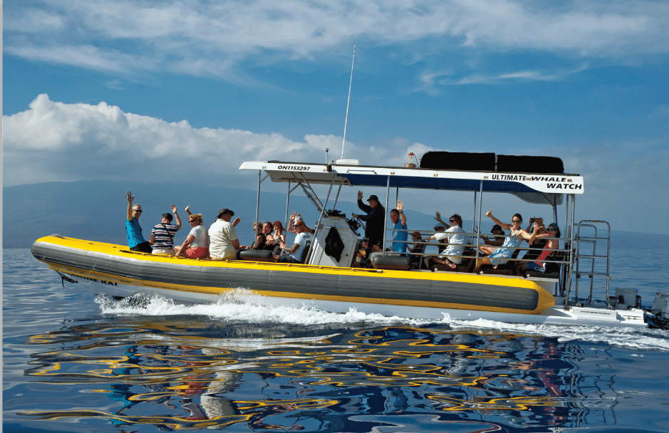 wahine kai tour boat for whale watching and snorkeling