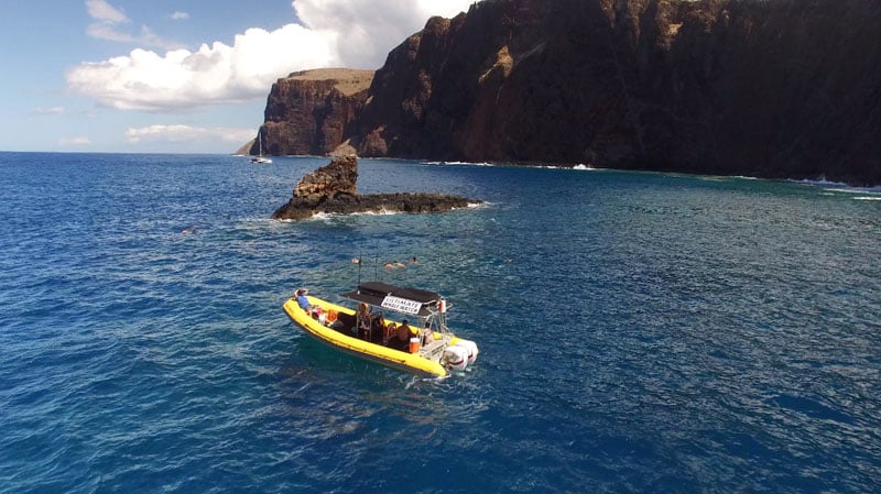 DELUXE DOLPHIN ADVENTURE & LANAI SNORKEL