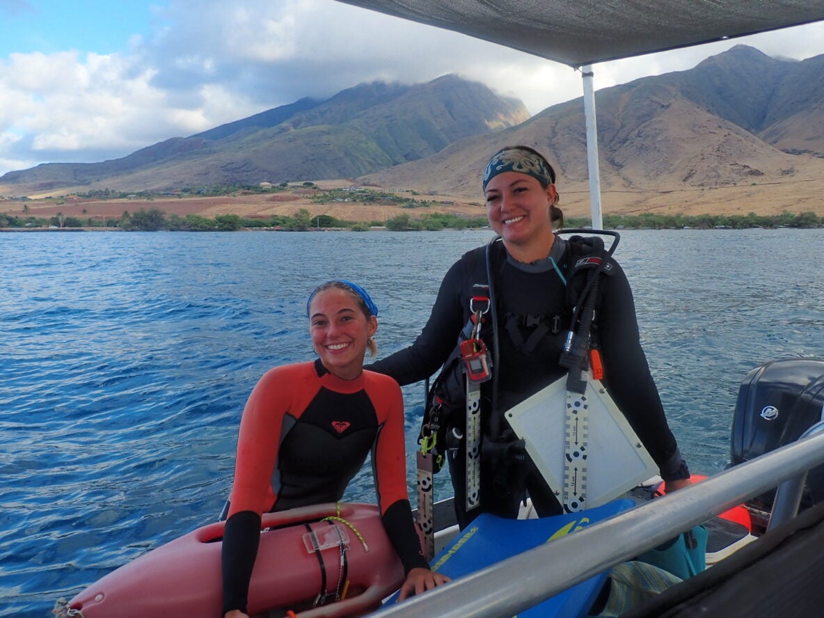 Researchers working from an Ultimate Whale Watch boat at Olowalu Reef, Maui